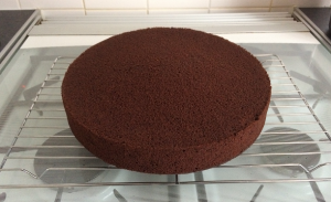 Large Chocolate Madeira Cake Recipe
